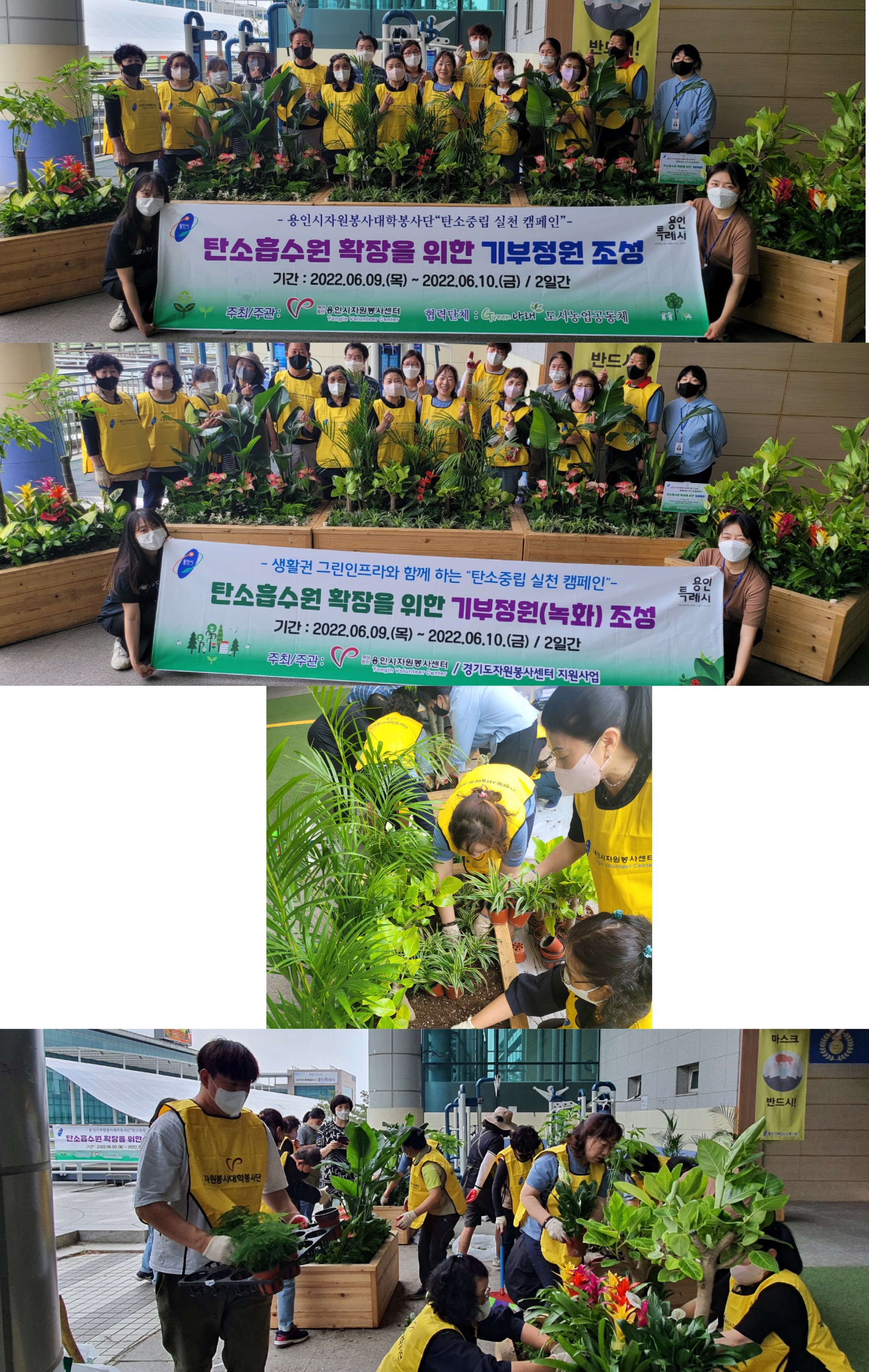 보드 첨부이미지