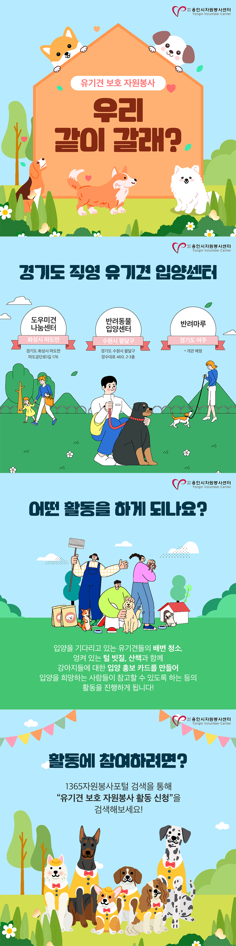 보드 첨부이미지