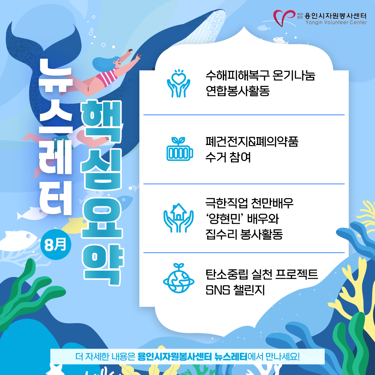 보드 첨부이미지