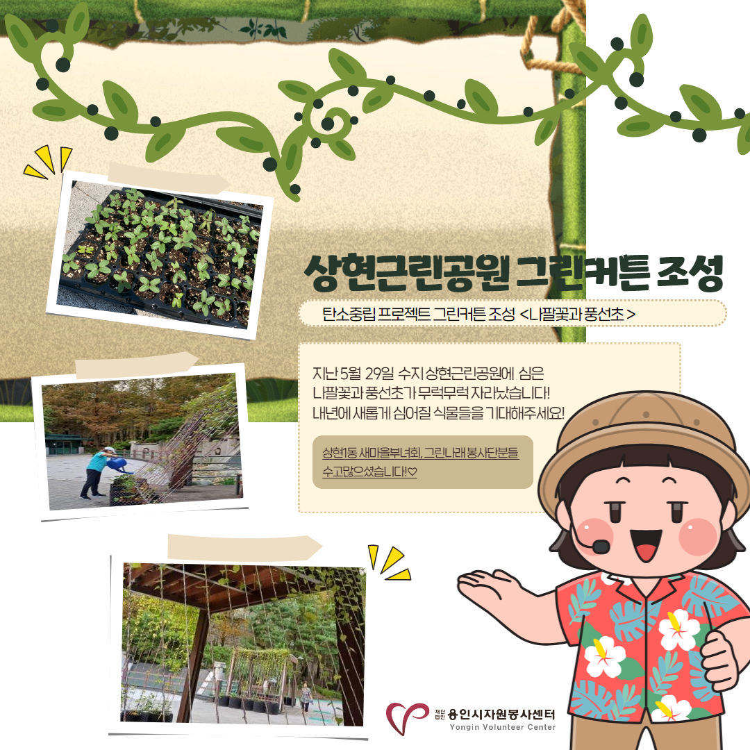 보드 첨부이미지